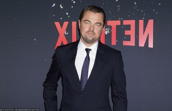 Leonardo DiCaprio Praised for His Kindness and Humility by Wolf of Wall Street Co-Star