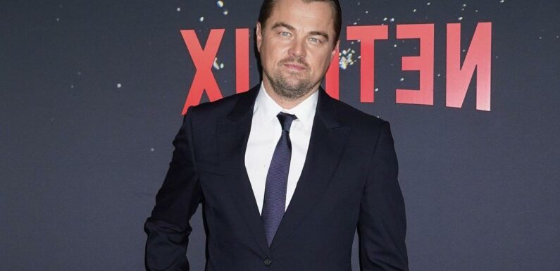 Leonardo DiCaprio Praised for His Kindness and Humility by Wolf of Wall Street Co-Star