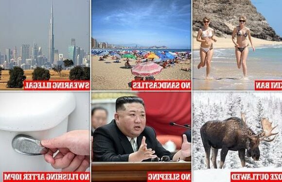 MailOnline highlights 21 of the world's most bizarre laws