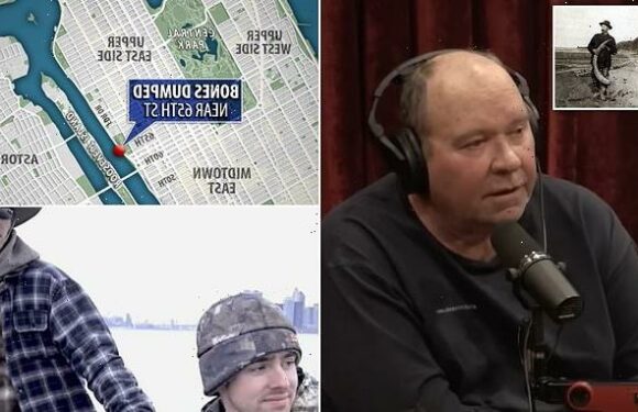 Mammoth expert reveals location of 500,000 tusks worth millions in NYC