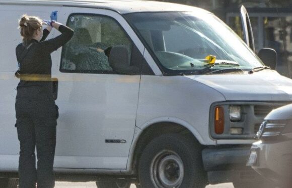 Man found dead in van after deadly Lunar New Year shooting