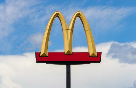 McDonald's fans can get £5 worth of free food tomorrow – but there's a catch | The Sun