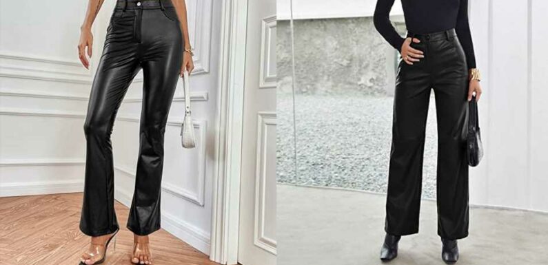 Meet Your New Winter Staple: These Faux-Leather Pants