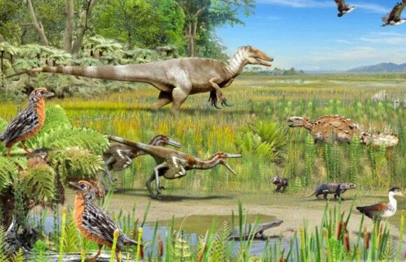 Megaraptors, feathered dinosaur fossils, found in Patagonia