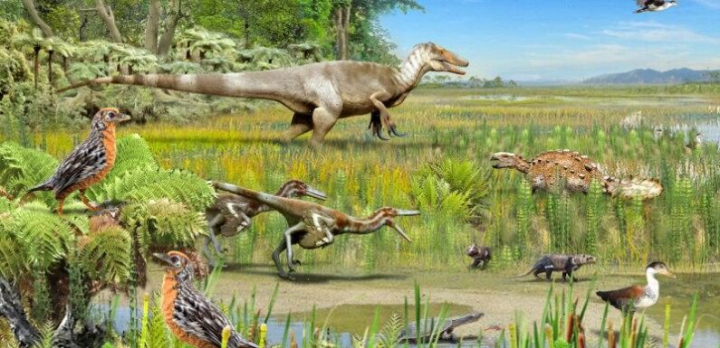 Megaraptors, feathered dinosaur fossils, found in Patagonia