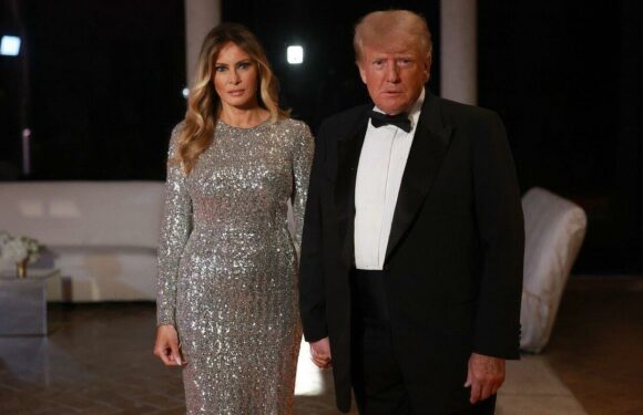 Melania Trump dazzles in £1,800 Dolce & Gabbana dress