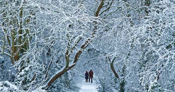 Met Office issue Beast from the East prediction as map shows date snow ‘hits UK’