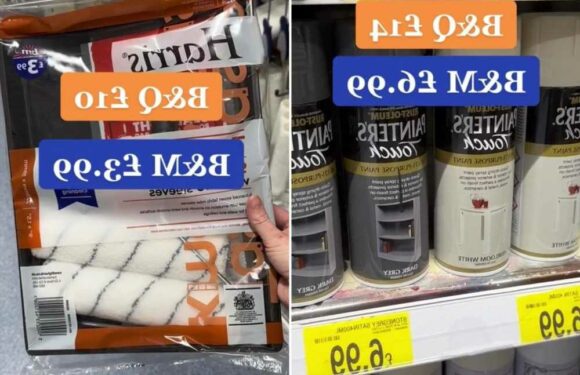Money-saving fanatic compares prices of DIY products at B&M and B&Q – and is totally floored by the results | The Sun
