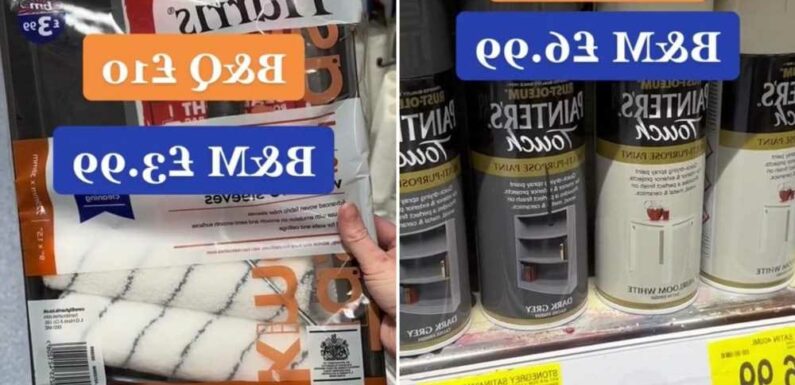 Money-saving fanatic compares prices of DIY products at B&M and B&Q – and is totally floored by the results | The Sun