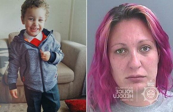 Mother jailed for murdering Logan Mwangi loses Court of Appeal bid