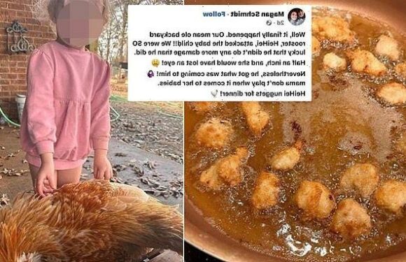 Mother kills and cooks pet rooster HeiHei that pecked her kid's face