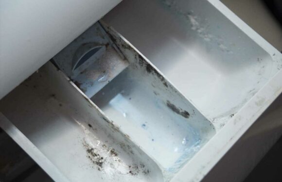 Mrs Hinch fans go wild over a 95p hack to remove stubborn mould from your washing machine – & it's completely effortless | The Sun