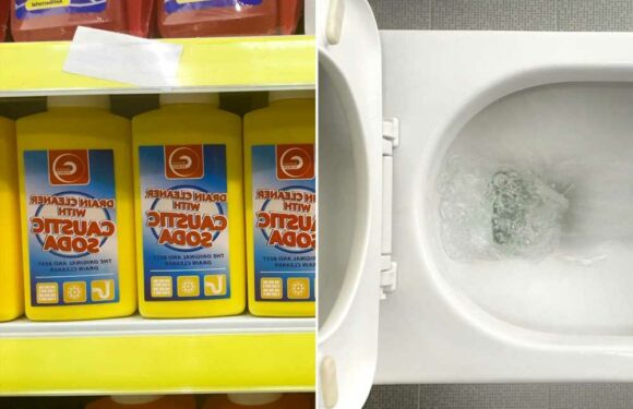 Mrs Hinch fans share game changing hack for unblocking toilet with miracle product – claiming ‘nothing else works' | The Sun