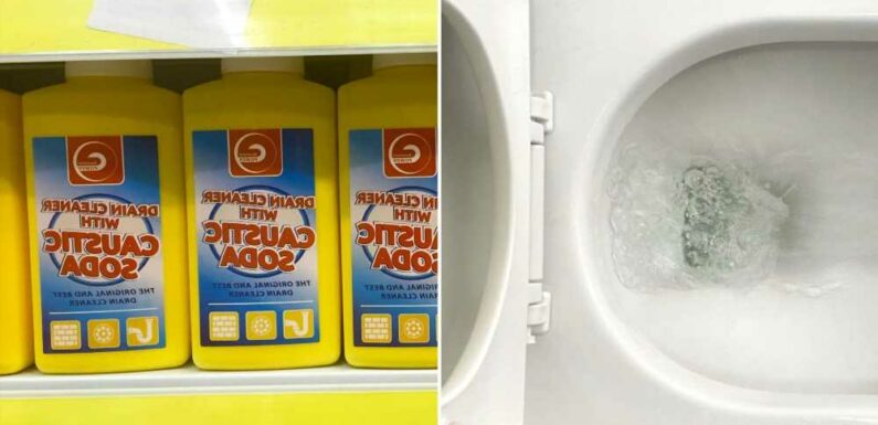 Mrs Hinch fans share game changing hack for unblocking toilet with miracle product – claiming ‘nothing else works' | The Sun