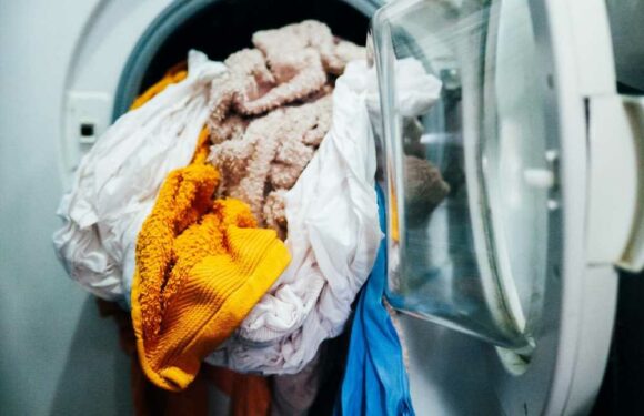 Mrs Hinch fans share the 25p hack to get gross tissue bits off your clothes when you accidentally leave one in the wash | The Sun
