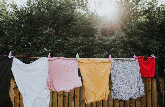 Mrs Hinch fans share the surefire way to know whether or not your washing will dry outside – any time of the year | The Sun