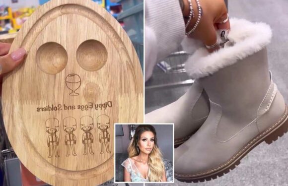 Mrs Hinch shows off the best buys she grabbed in the Aldi middle aisle this week and people are raving about her choices | The Sun