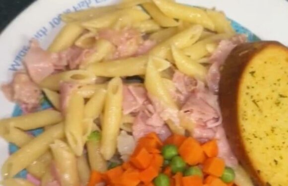 Mum hits back at trolls who slam her for feeding kids ‘unreal council carbonara’ but doesn’t care – the kids are chuffed | The Sun