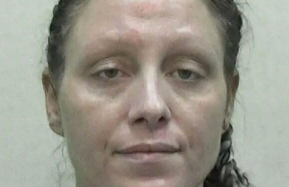 Mum ordered three kids to leave house before setting it on fire while still inside | The Sun