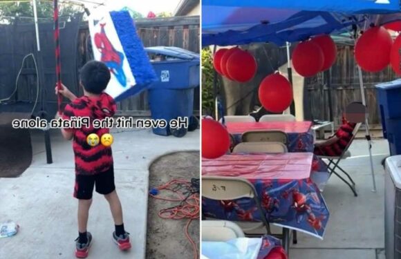 My son threw a birthday party and invited all his friends but no one came – he even had to hit the pinata alone | The Sun