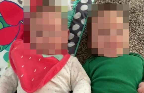 My two babies were born 8 weeks apart – people get confused when I explain they're siblings even though they look alike | The Sun