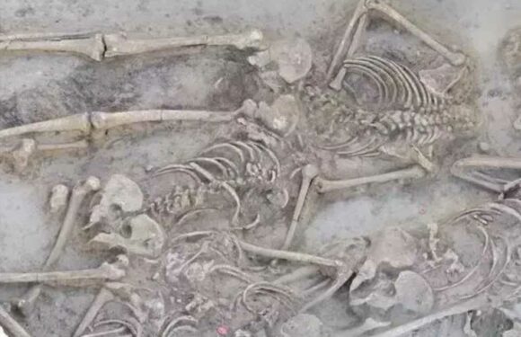 Mystery as 38 skeletons are found in chilling 7,000-year-old mass grave – and all but one had been DECAPITATED | The Sun