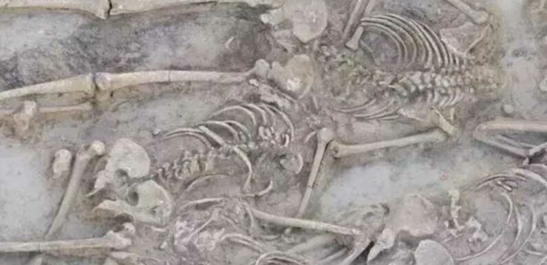 Mystery as 38 skeletons are found in chilling 7,000-year-old mass grave – and all but one had been DECAPITATED | The Sun