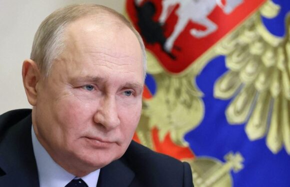 NATO ‘ready’ to fight Russia despite ‘increasing WW3 risk’, says official