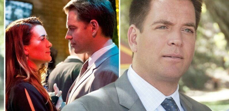NCIS’ Michael Weatherly sparks frenzy with Ziva and Tony update