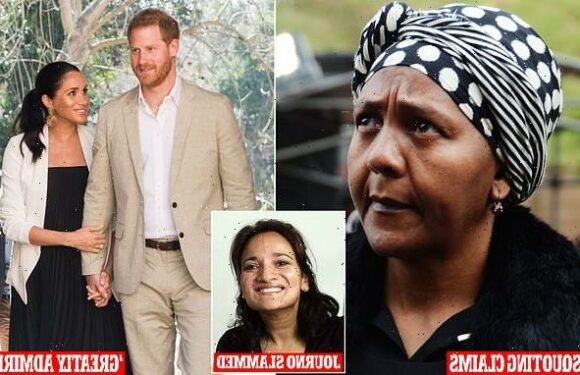Ndileka Mandela slams Daily Telegraph over Harry and Meghan