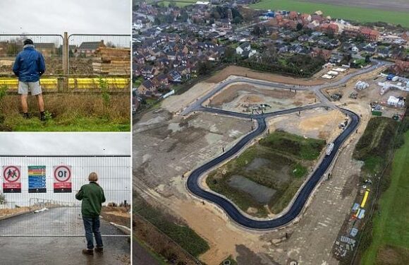 Nimby neighbours object to 86-house estate being built nearby