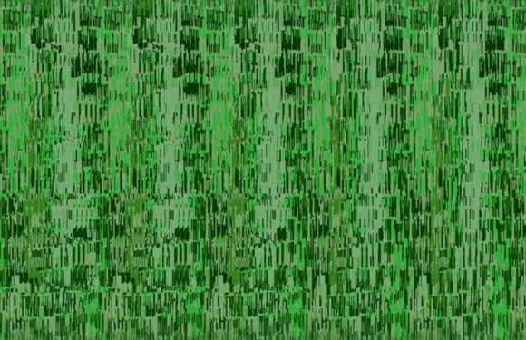 Only half of people can spot the words hidden in this optical illusion, are you one of them? | The Sun