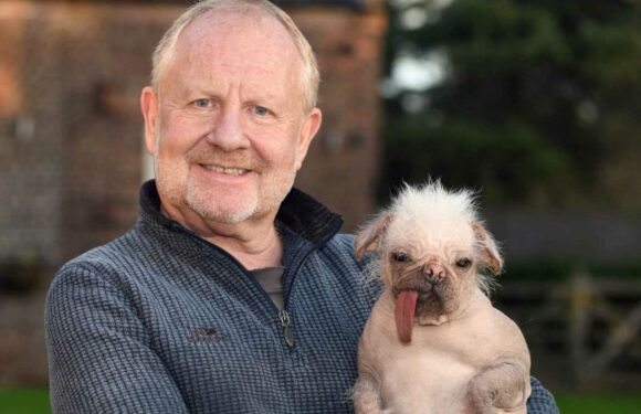 Our dog is one of the ugliest in Britain – I think she's beautiful and love her no matter what | The Sun