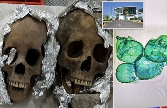 Package containing four human SKULLS is intercepted at Mexican airport