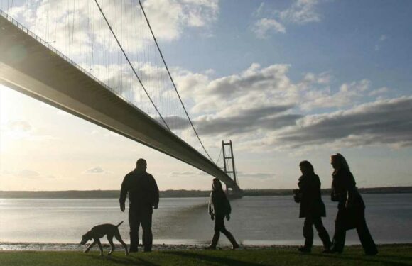 Pet owners use their animals to achieve their New Year's resolutions, study reveals | The Sun