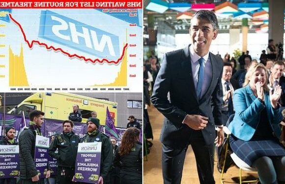 Plans to increase use of private hospitals 'can help us cure the NHS'