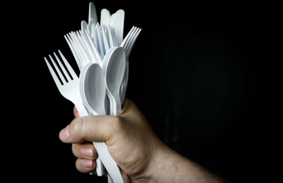 Plastic plates, cutlery and food containers to be axed from October | The Sun