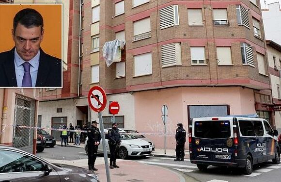 Police arrest pensioner who 'sent letter bombs targeting Spain's PM'