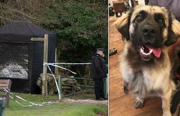 Police close criminal probe into death of woman killed in dog attack