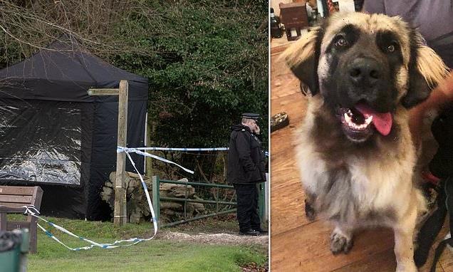 Police close criminal probe into death of woman killed in dog attack