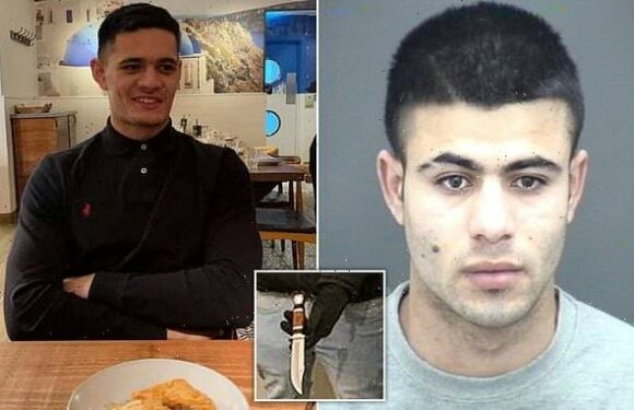 Police missed seven chances to stop killer Afghan asylum seeker