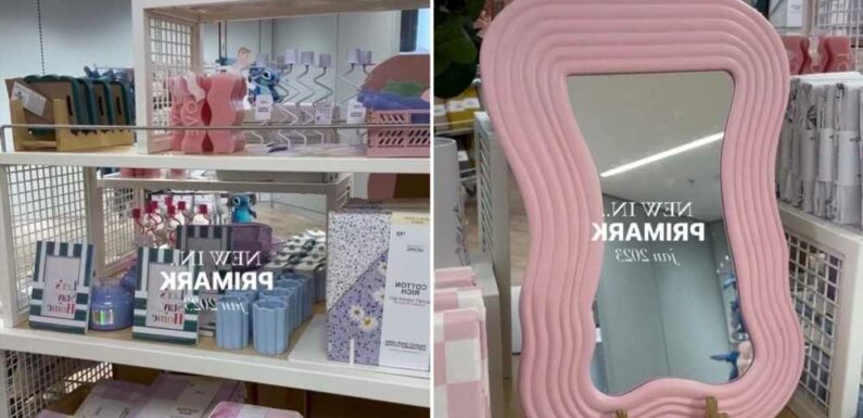 Primark superfan shares all of the chic new homeware pieces for Jan 2023 and they have people racing to the shops | The Sun