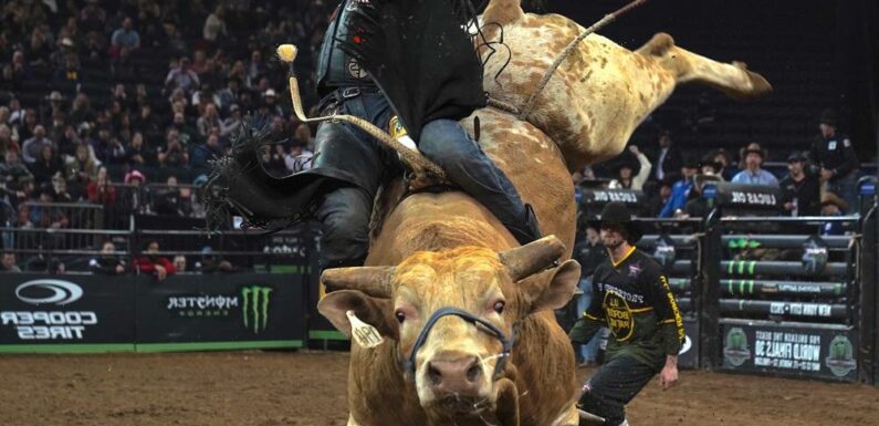 Prime Video Greenlights ‘The Ride’ Docuseries About Professional Bull Riders