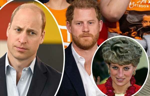 Prince Harry Admits Princess Diana Would Be 'Sad' About Painful Feud With William