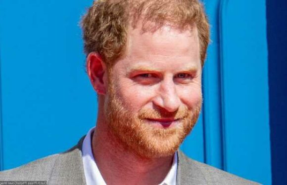 Prince Harry Confesses to Fact-Checking While Watching The Crown: Its So Important