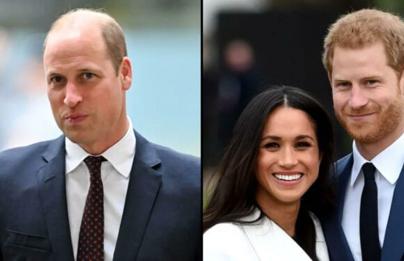 Prince Harry: Prince William Was 'Freaked' by Meghan Markle Hugging Him