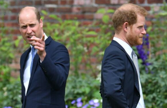 Prince Harry Says Prince William Physically Attacked Him in New Book: Report