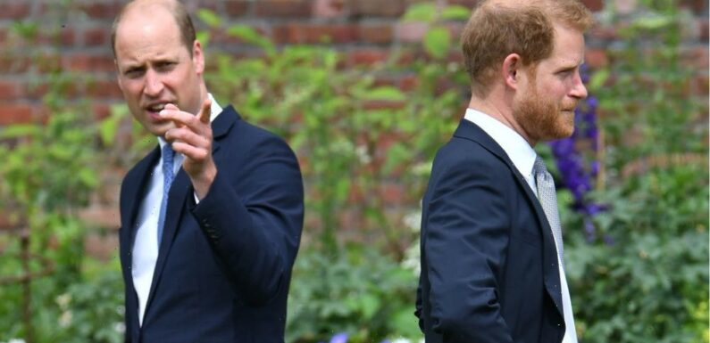 Prince Harry Says Prince William Physically Attacked Him in New Book: Report