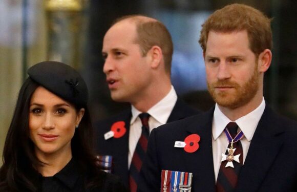 Prince Harry Says Prince William Was ‘Freaked Out’ by Meghan Markle’s Hug