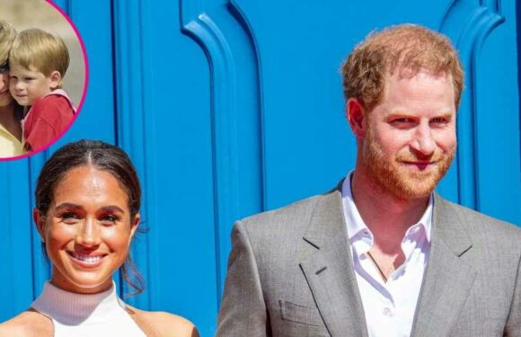 Prince Harry Thinks a Box of Diana’s Hair Helped With Meghan’s 1st Pregnancy